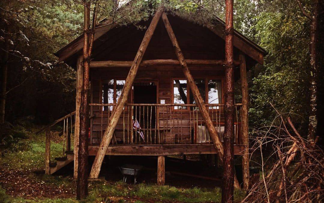 DIGITAL DETOX: A wellness retreat for your health and wellbeing